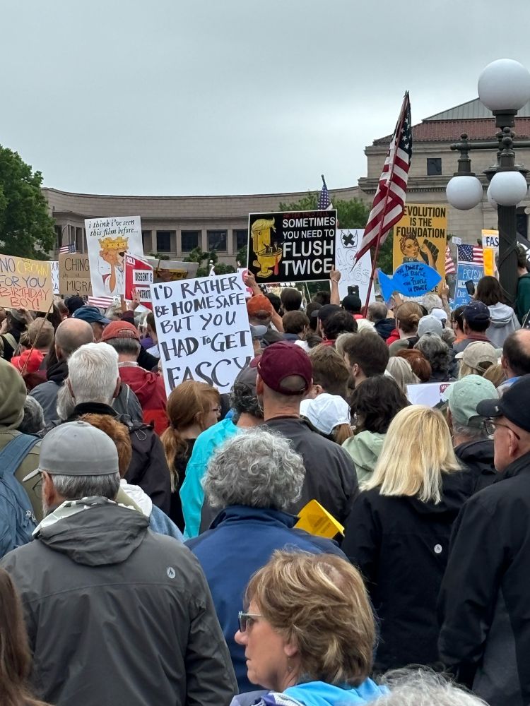 Protesters at No Kings march St. Paul