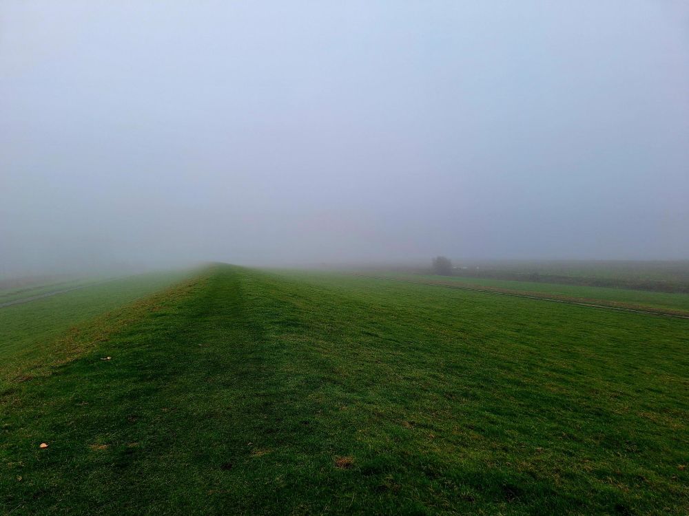 Foto eines Deichs, der vom Nebel verschluckt wird