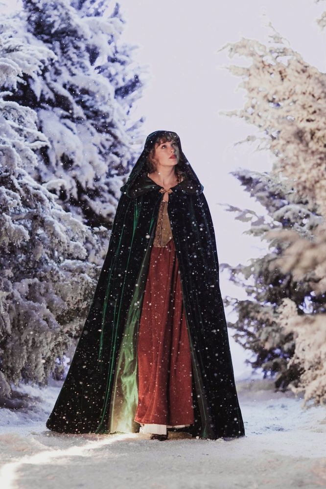 Taylor Swift in the willow music video, wearing a long green cloak in the snow