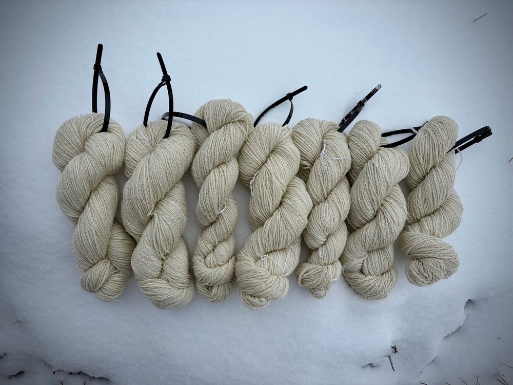 7 skeins of Cormo fleece,hand processed and spun into yarn. Unwashed white yarn spread out on a blanket of fresh snow.