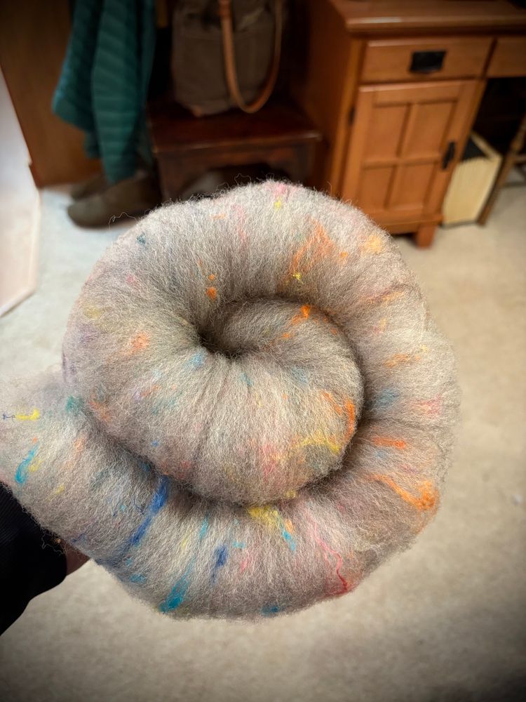 A grey wool batt with silk tweedy bits of rainbow colors is held rolled up in a spiral.