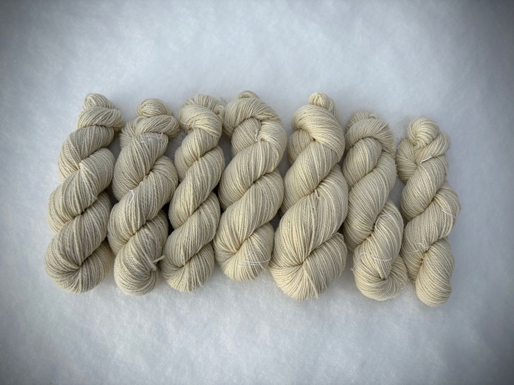 Washed and dried skeins of white hand processed and spun Cormo yarn laying in fresh snow. The yarn has bloomed after its bath in hot water and wool soap.
