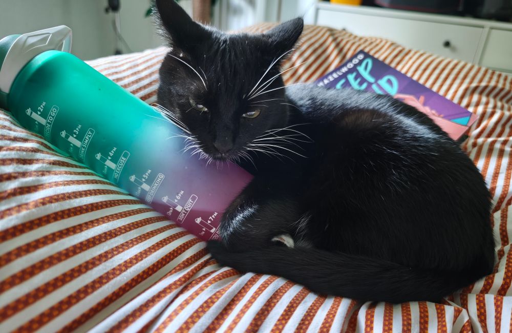 Schwarz weißer Kater kuschelt mit einer Grün-lila Trinkflasche.