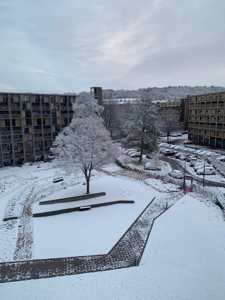 block of flats with car park and central tree, all covered with light dusting of snow. Grey clouds with a little sun. 