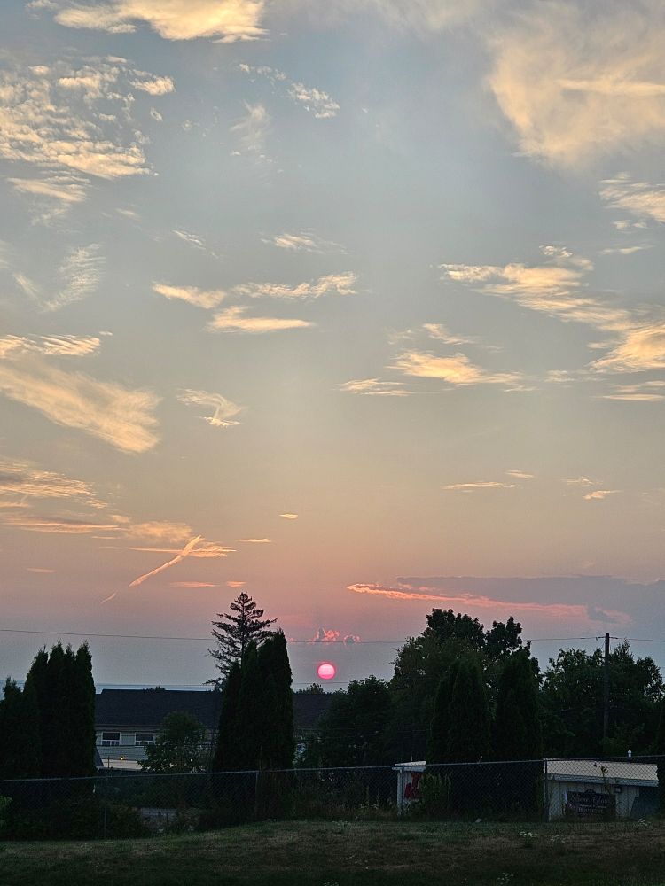 A red sun (looks more pink in the pic) rising over some trees and buildings with some weird looking clouds.