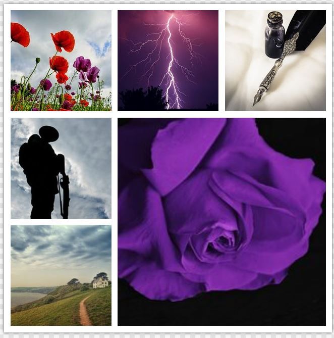 Mood board featuring poppies, lightning, pen and ink, soldier, purple rose and Cornish cottage. 