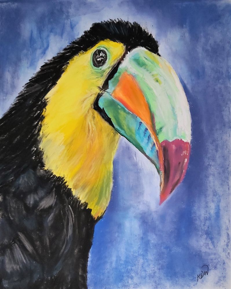 A pastel painting of a toucan, with its brightly coloured beak. 