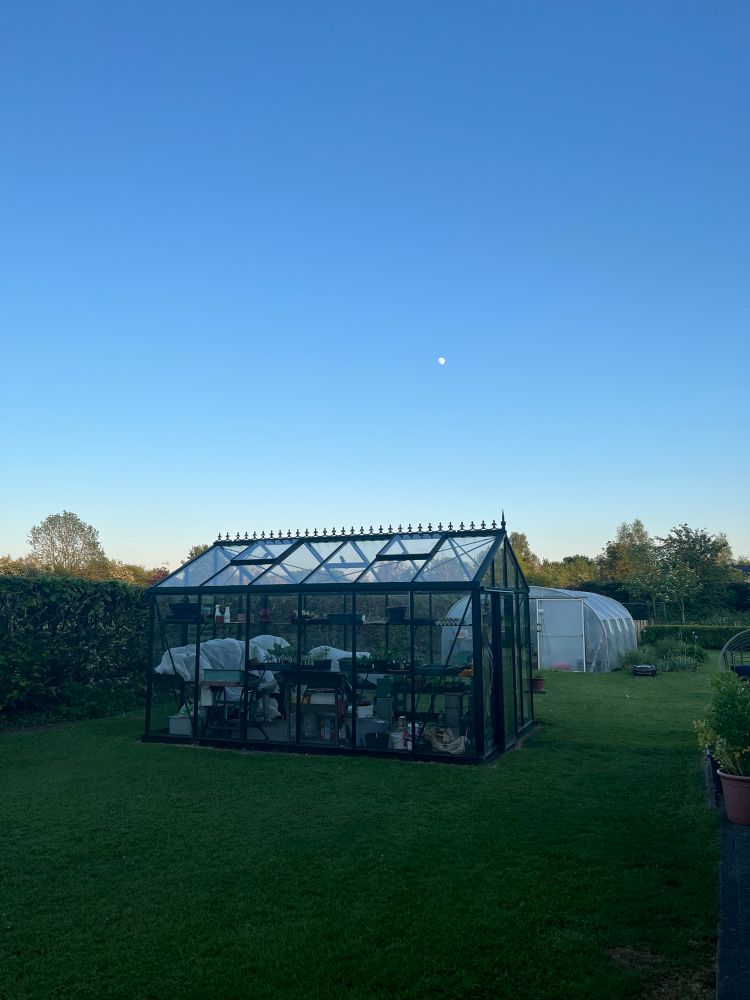 Photo taken in late evening light of glasshouse and polytunnel with clear blue skies and moon above glasshouse. Frost protection in glasshouse visible. 