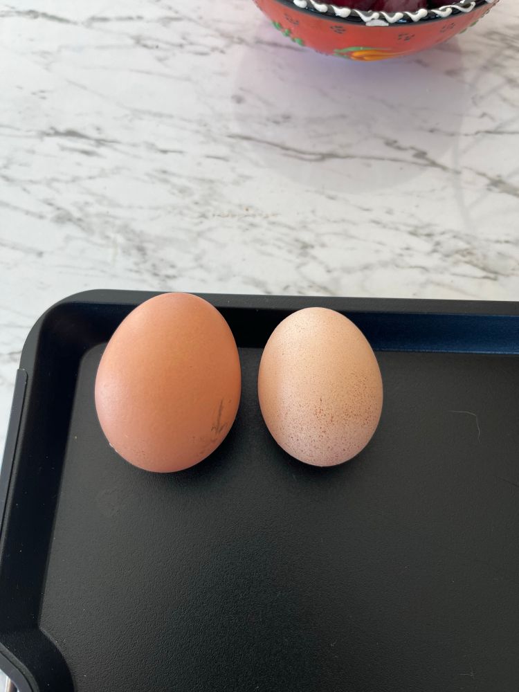 Photo of one medium size and one small egg on a black background. 