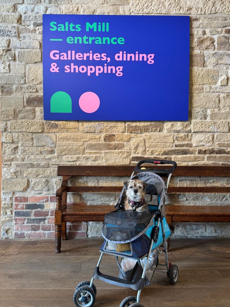 Border terrier sat in his stroller by a sign. 