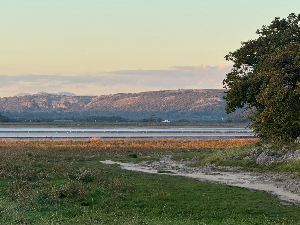 View of the Kent Estuary. 
