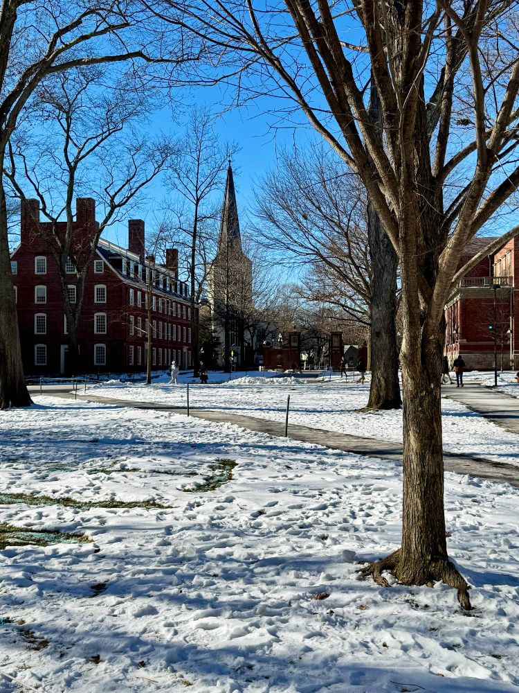 Snow on the ground in Harvard Yard