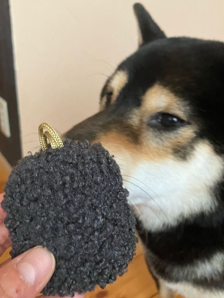 犬とおはぎのぬいぐるみの写真。