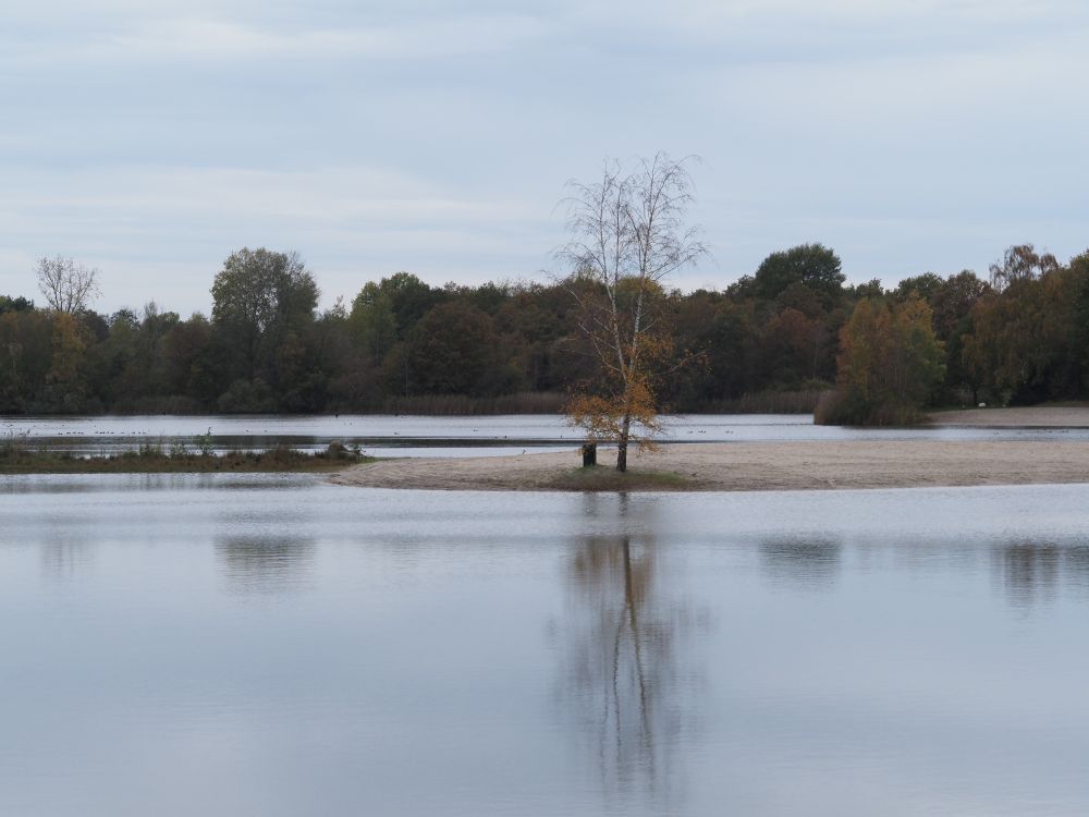zwemplas met strand omringd door bomen