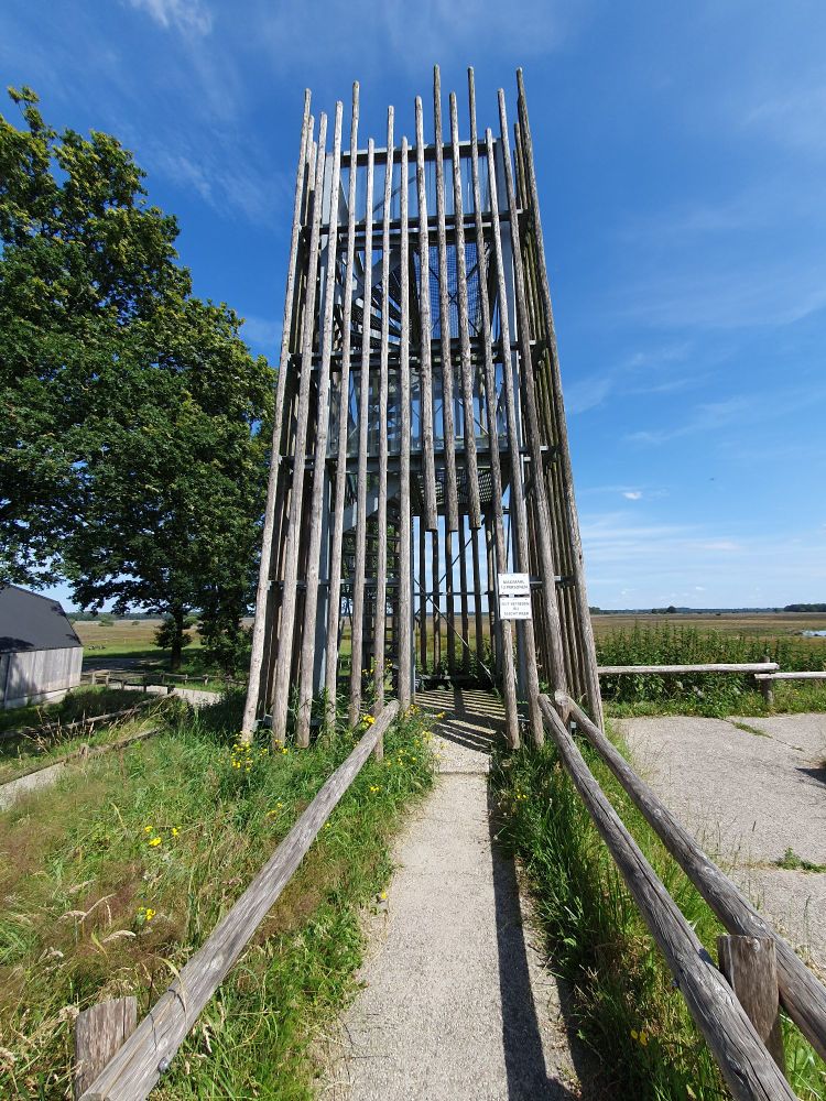 Uitkijktoren bij de schaapskooi Ruinen 