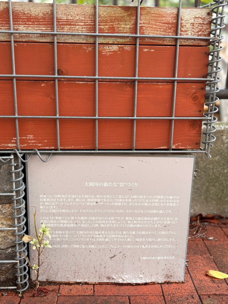 昭和の大岡川沿いが青線地帯だったことと、それに対して町としてアクションを起こしてきたことが綴られた碑。そしてよりそうように一本だけ生えた雑草。