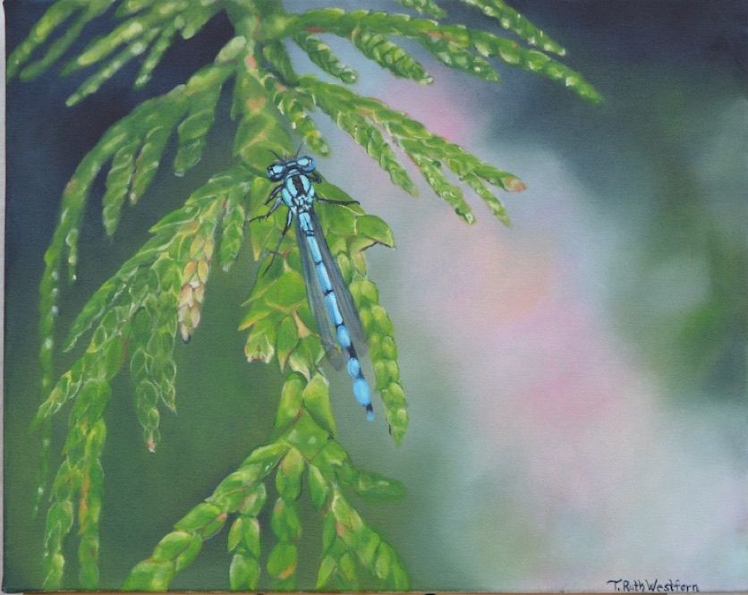 A painting of a blue damselfly resting on a cedar branch against a vivid backdrop of greens, blues, and pinks
