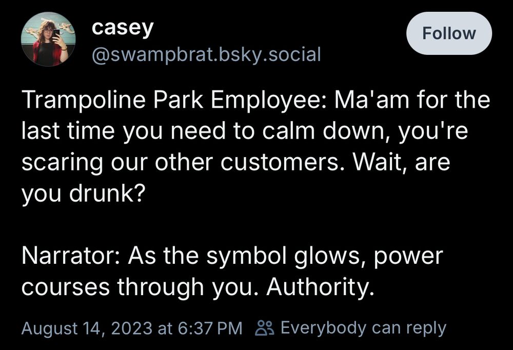 casey
@swampbrat.bsky.social
Trampoline Park Employee: Ma'am for the last time you need to calm down, you're scaring our other customers. Wait, are you drunk?

Narrator: As the symbol glows, power courses through you. Authority.
August 14, 2023 at 6:37 PM