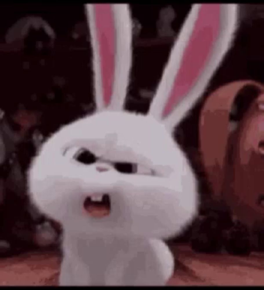 a white rabbit with pink ears is looking angry .