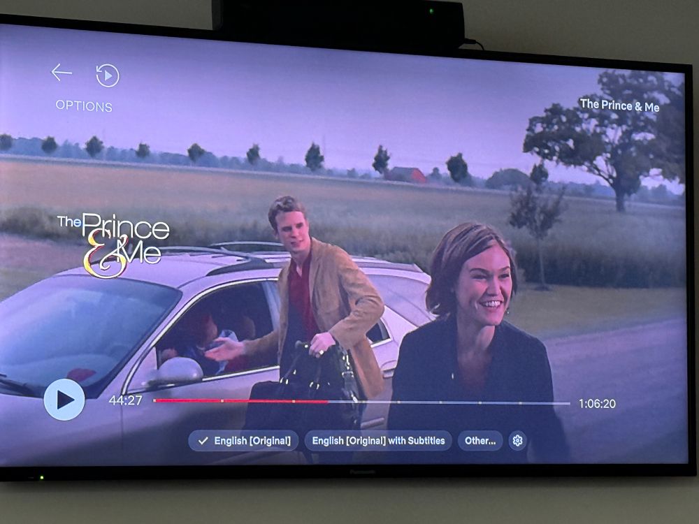 Screen grab from “The Prince & Me” on Netflix