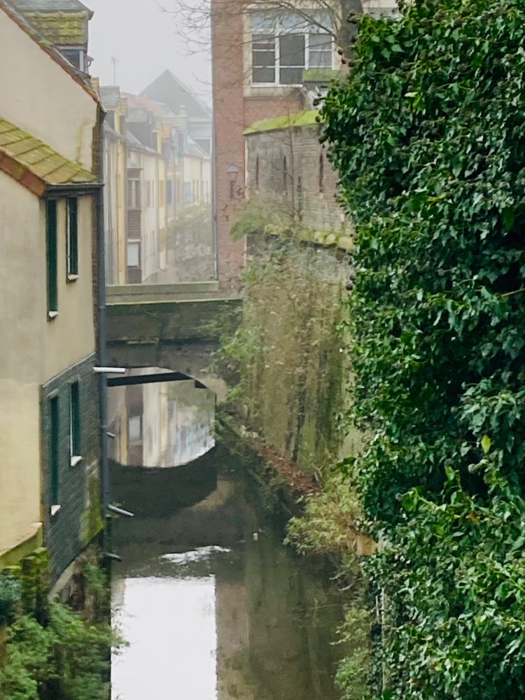 Zwei enge Häuserzeilen entlang eines kleinen Kanals. In der Mitte des Bildes eine kleine Brücke zwischen beiden Ufern,  ihre Rundung spiegelt sich im stillen Wasser. Im Vordergrund wächst Efeu eine Wand hoch.
Es ist leicht nebelig, die Farben sind grau und braun, grün setzt Akzente