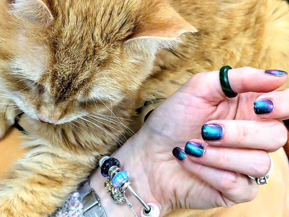 Orange cat sleeping and hand with lacquered fingernails.