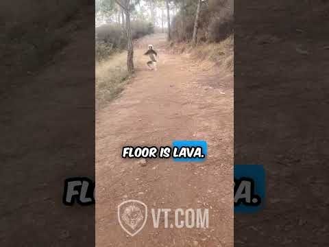 You Won’t Believe What This Lemur Just Asked! 😂🔥