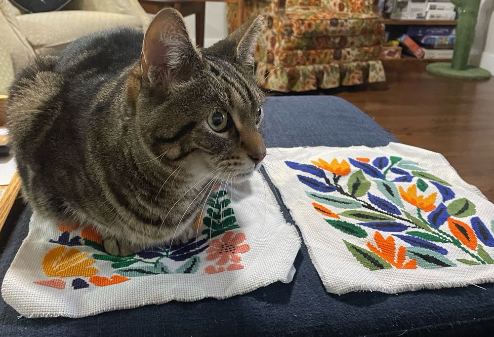 A very beautiful cat stares intensely because she is focused on the important task of holding down a completed cross stitch