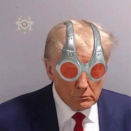 official trump mugshot (real)