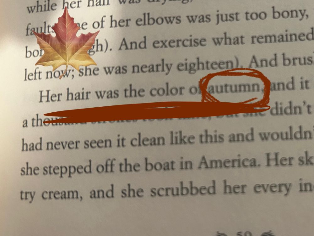 Picture of a passage in The Princess Bride that states “her hair was the color of autumn.”