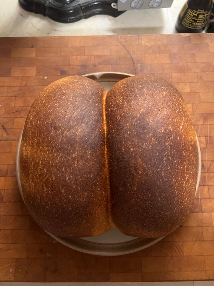 Two loaves of fresh-baked bread. They look like a butt. 