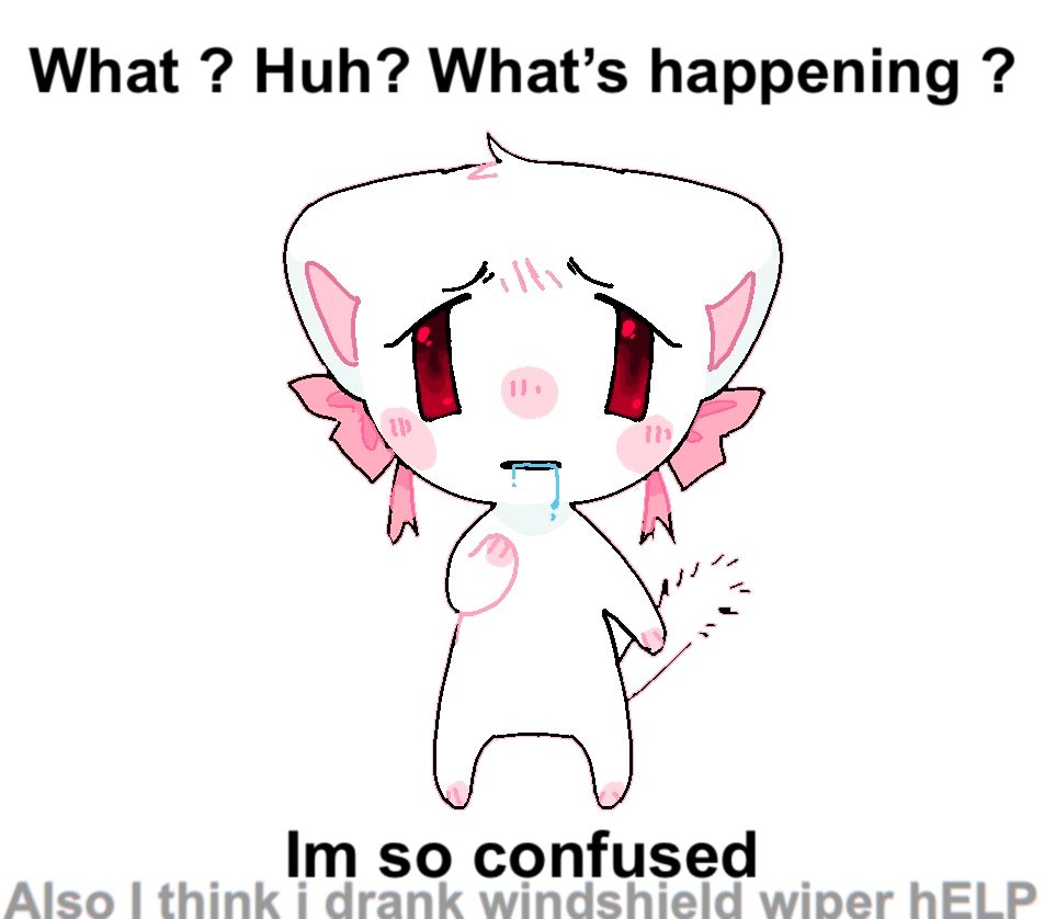 A chibi drawing of a white cat with 2 pink ribbons under its ears, looking distraught with blue liquid dripping out of its mouth. the text above it reads "what? Huh? Whats happening?" And the text below is "Im so confused", followed by "also I think i drank windshield wiper help"
