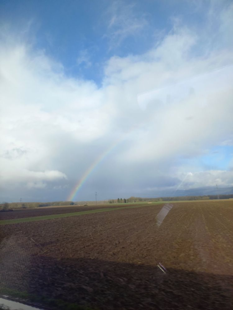 Arc-en-ciel vu du train