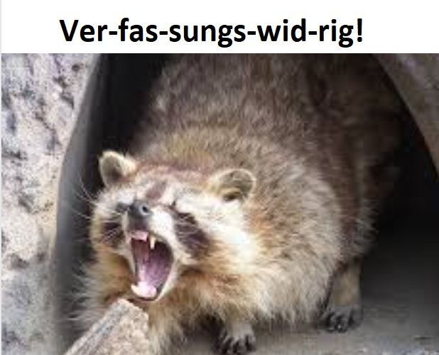 Ein Waschbär schreit: Ver-fas-sungs-wid-rig!
