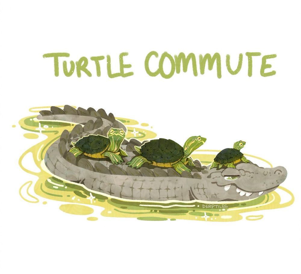 An illustration of three map turtles riding on the back on an alligator through swampy waters.