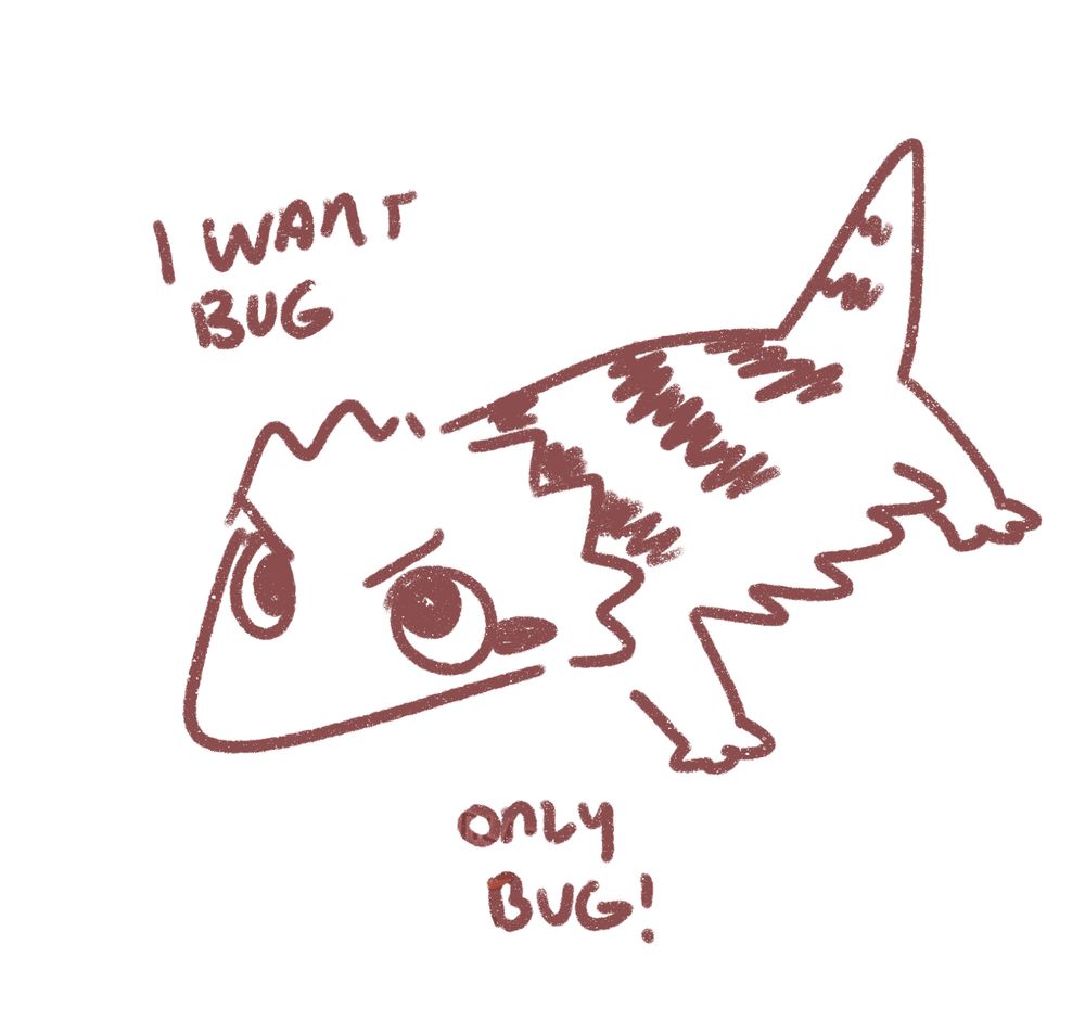 Doodle lizard standing grumpily, text says “I want bug, only bug!”
