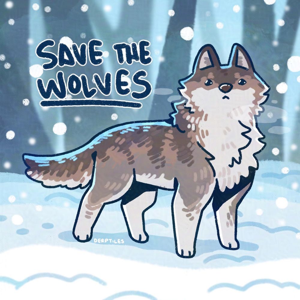 An illustration of a gray wolf in snowy woods, with the text “save the wolves”