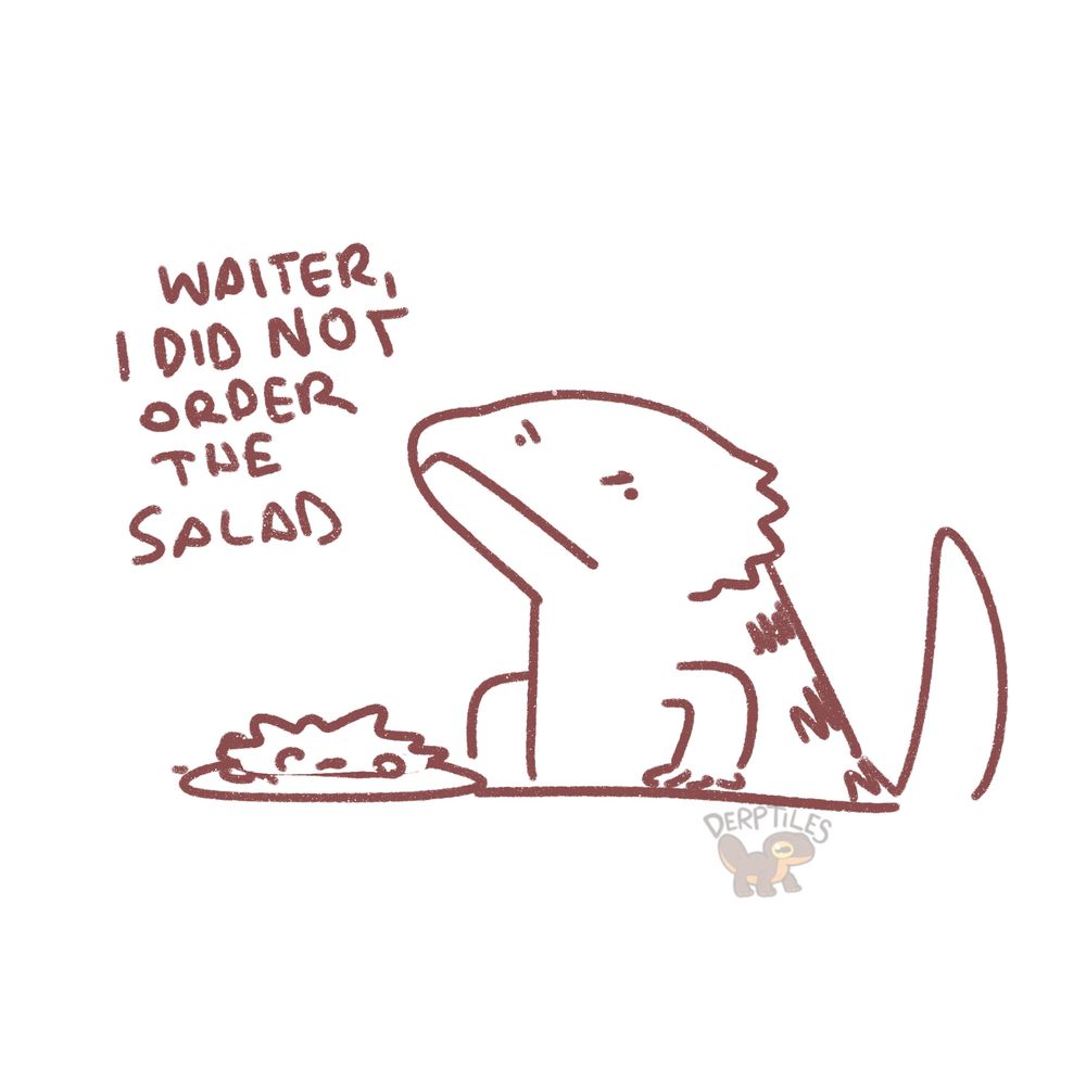 Doodle lizard with plate of salad. Text says “Waiter, i did not order the salad”