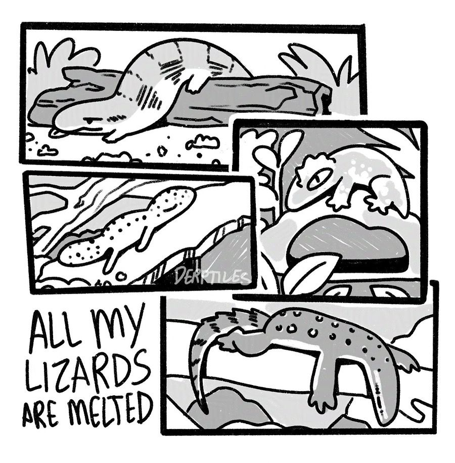A comic panel style drawing of my pet lizards (blue tongue skink, leopard gecko, crested gecko, and ackie monitor) lying around looking very sleepy, draped across things in their enclosures. Text in the coner says “All my lizards are melted”