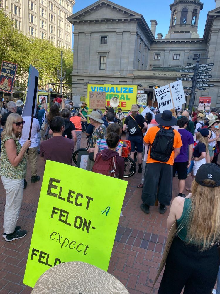 protest vs Musk/Trump dictatorship