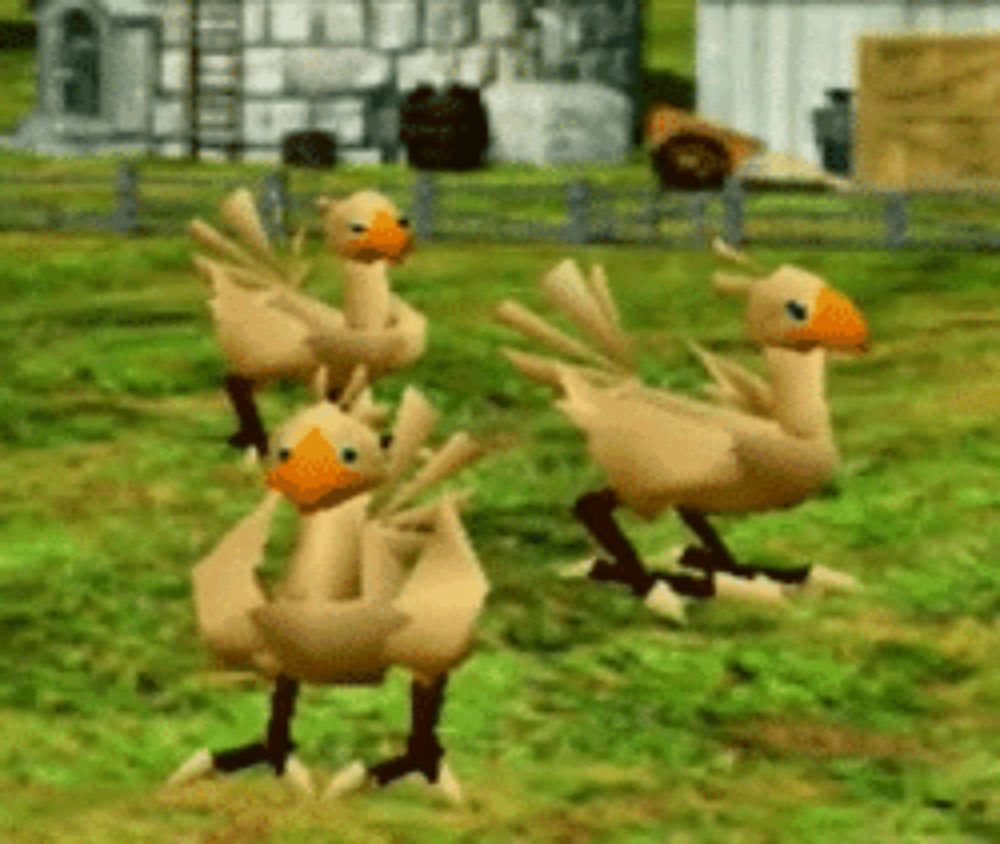 a group of chickens are standing in a field .