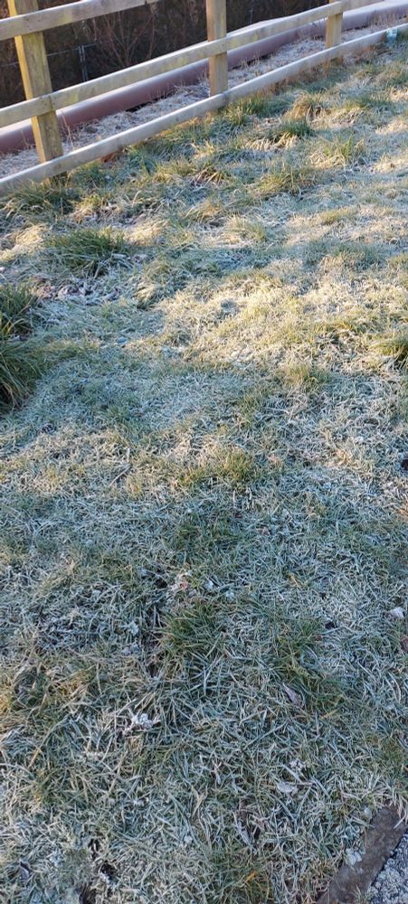 Sunlight shining through a wooden fence onto frosty grass 