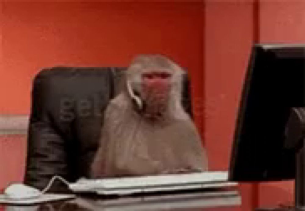 a monkey is wearing headphones while sitting at a desk in front of a computer monitor .