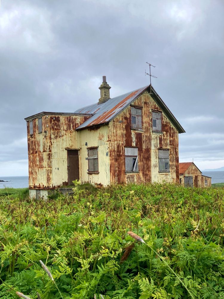 A rusty abandoned farmhouse surrounded by overgrown plants.