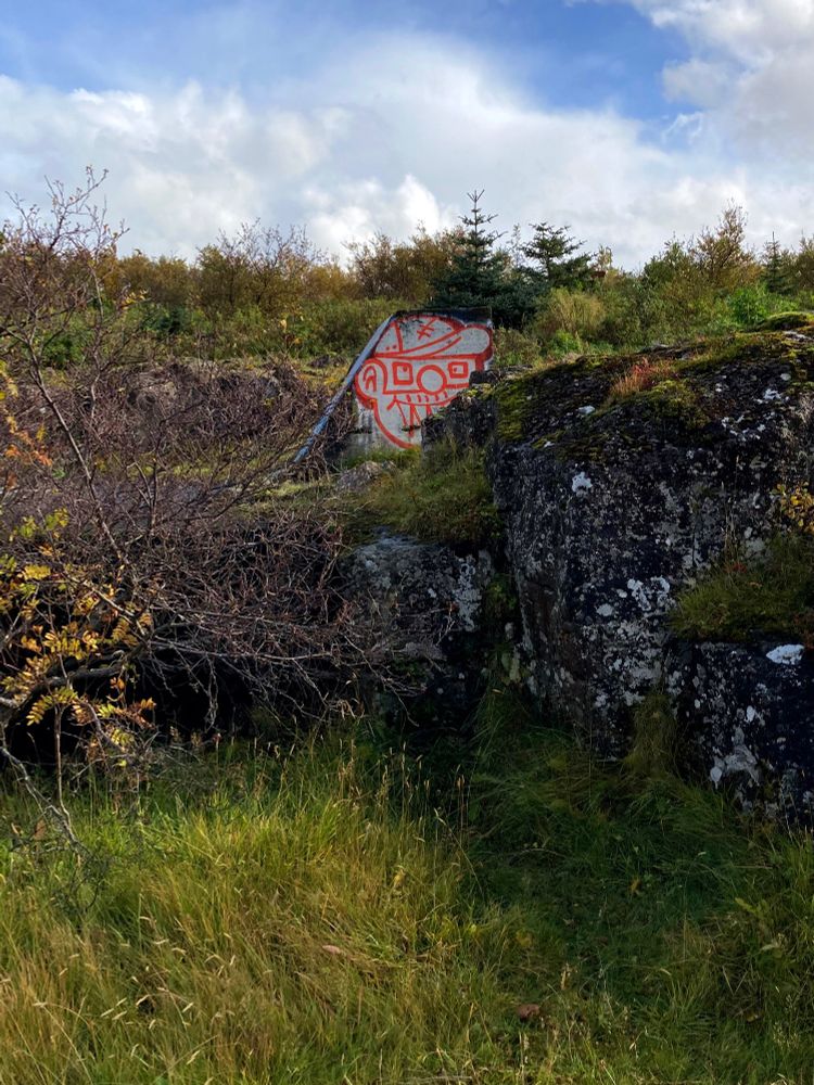 A graffiti covered war relic surrounded by nature.