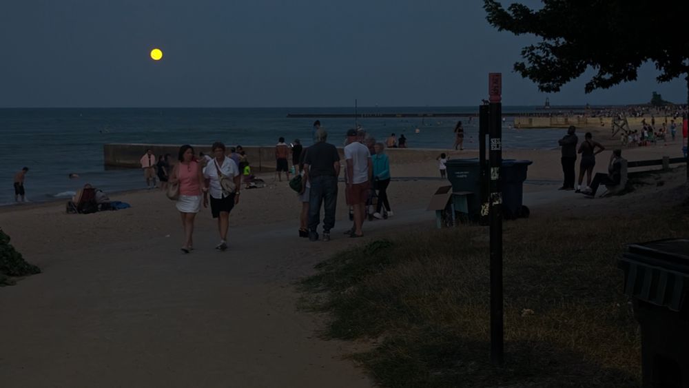 August at the beach in Rogers Park. 