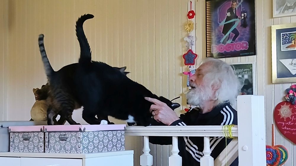 Man with white hair and a beard reaching up over a stair railing to pet a black cat and a grey tabby