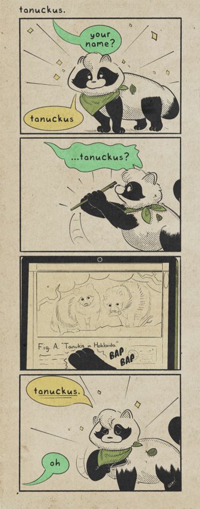 PANEL 1:
a voice off-panel asks, "your name?" to which a tanuki with with a green banana responds, "tanuckus."

PANEL 2:
the voice asks, "...tanuckus?" to which the tanuki holds up a smart tablet in response

PANEL 3:
the tablet has a web browser open showing a photograph depicting "tanukis in hokkaido". the tanuki taps the word "tanukis" for emphasis.

PANEL 4:
the tanuki gestures to herself while simultaneously tucking her tablet under her bandana. she proudly and declaratively repeats, "tanuckus." the off-panel voice merely says "oh" in response.