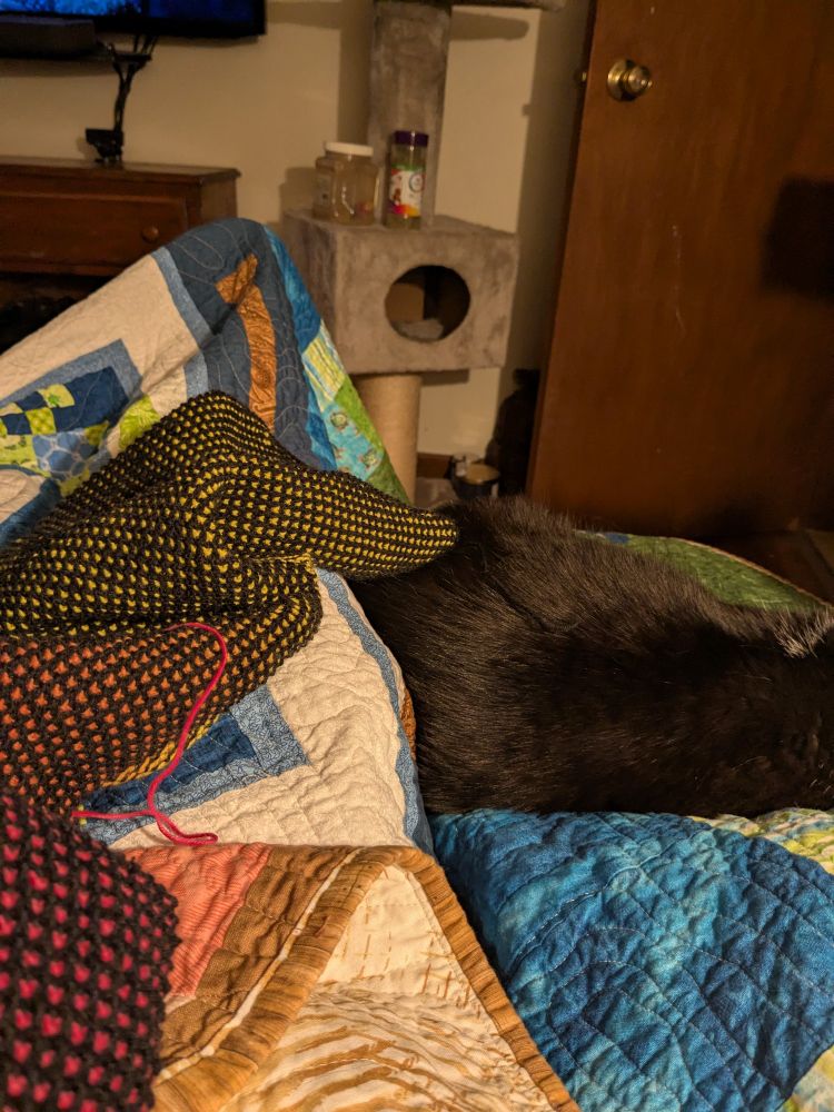 An inprogeess black and ombre rainbow knitting project on top of a rumpled scrap quilt next to a curled up cat. 