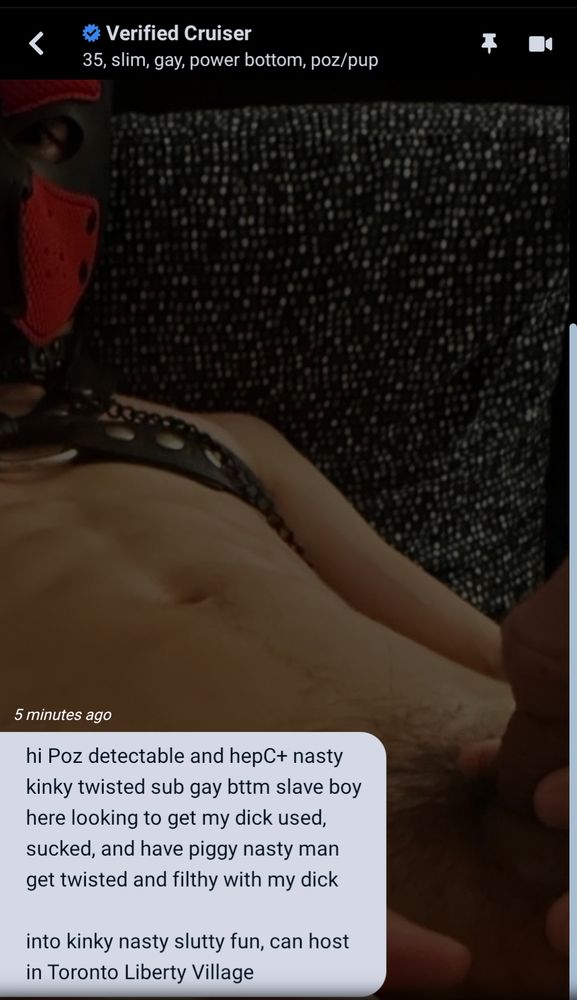 A thin 35-year-old man in a black and red pup hood with black leather harness.